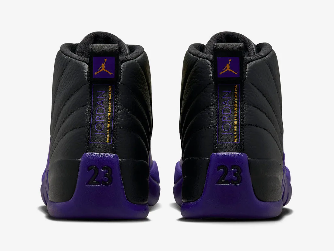 Air Jordan 12 Retro Field Purple Black Taxi CT8013-057